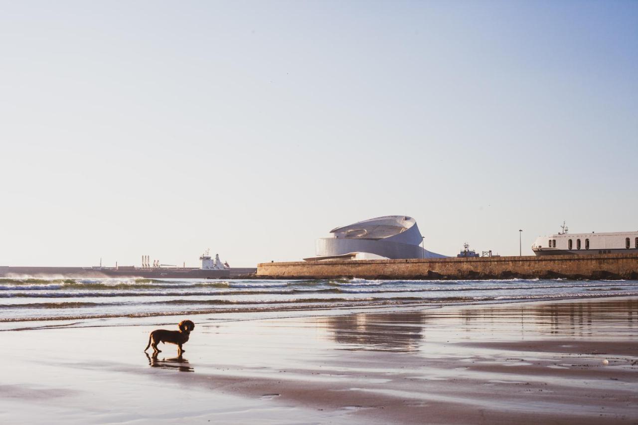 Oceanside Matosinhos - Ecohost Apartman Kültér fotó